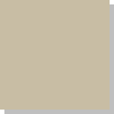 tan-icon-img
